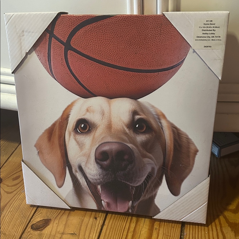 Dog with Basketball Canvas Art